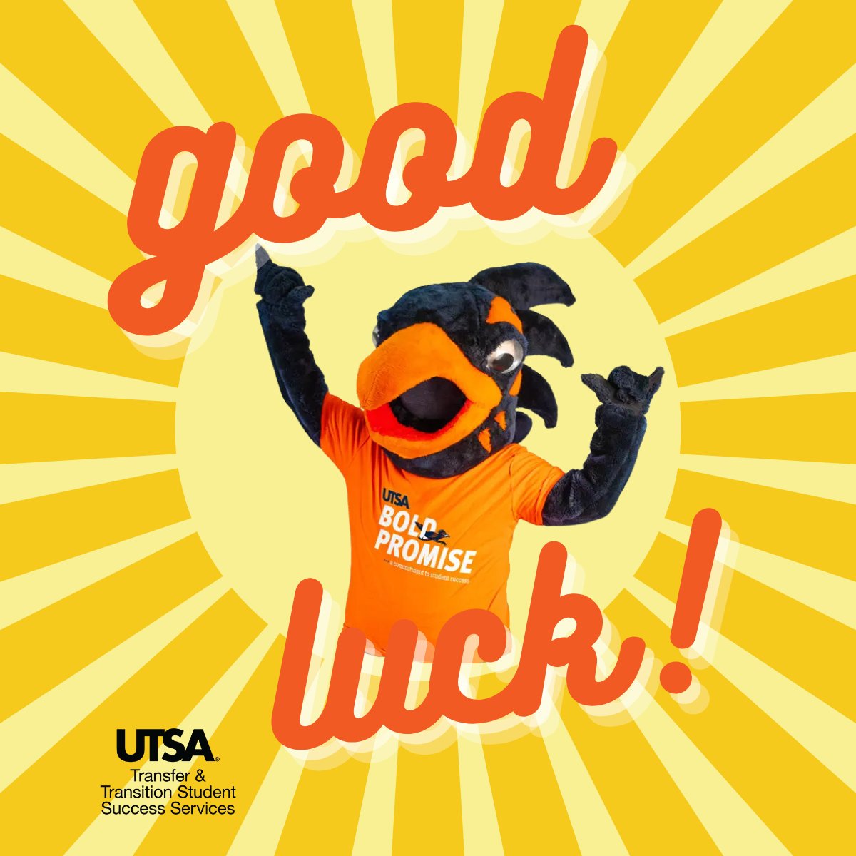 utsatradvising's tweet image. Wishing you all good luck this week on your exams! You've got this, 'Runners! 
✨✨✨✨✨✨✨
