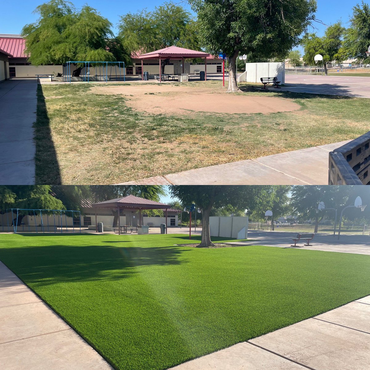 Towne Meadows tweet media