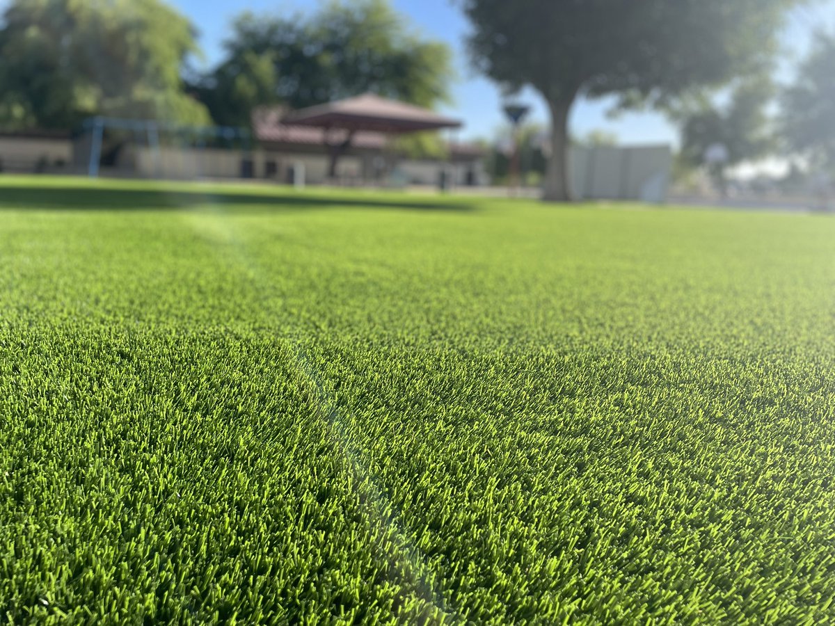 Check out the before and after picture of our playground!  Thank you <a href="/TM_Wolfpack/">Towne Meadows Wolfpack</a> and our parents for providing the funds to make this dust/mud area into a nicer space.  The money raised from our Fun Run last year and all the events this year helped pay for this improvement.