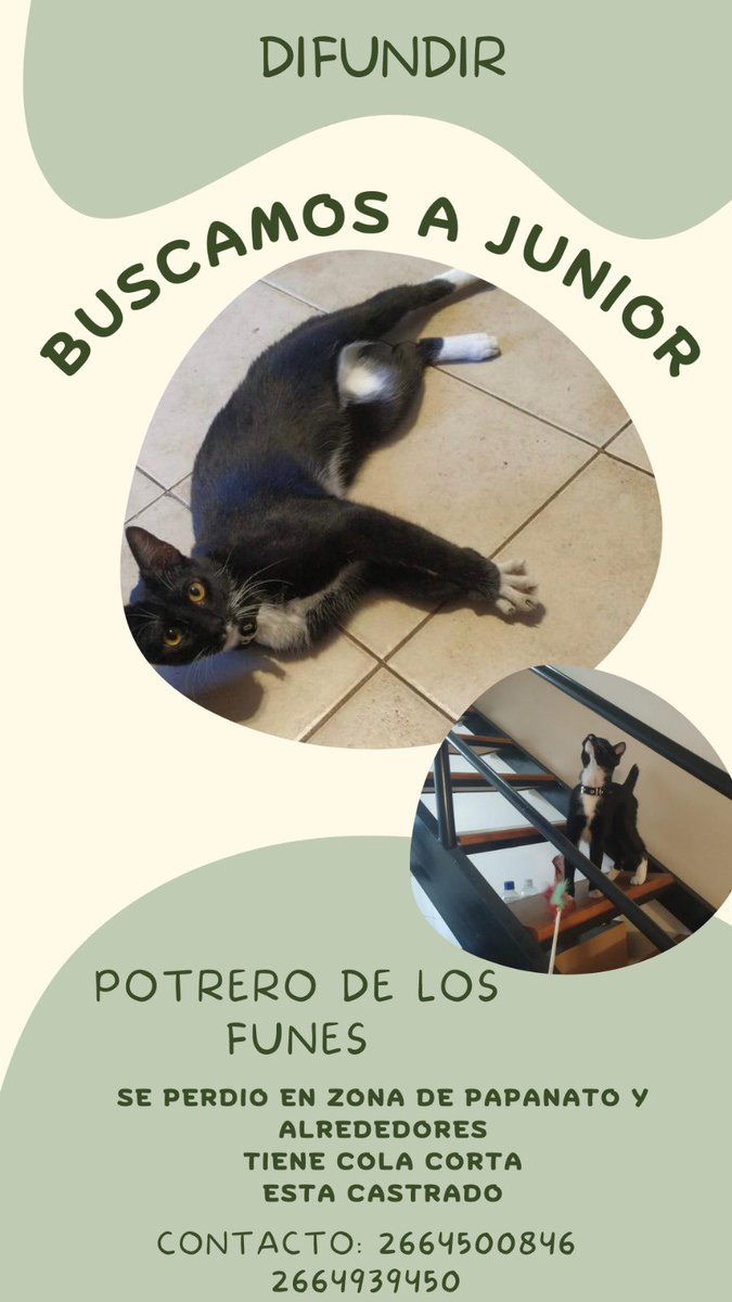 marrlavia's tweet photo. DIFUNDIR 🙏🏻 😭 gracias https://t.co/ABI4ZWbnFB