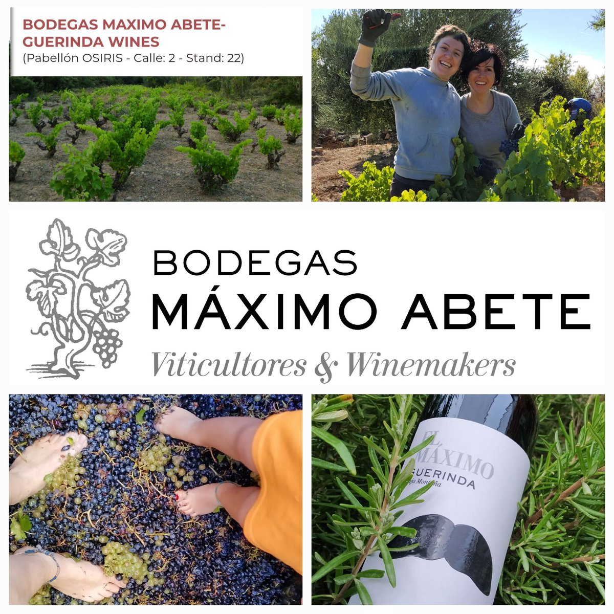 Bodegas Máximo Abete - Guerinda Wines. Pabellón OSIRIS, Pasillo 2, Santd 22. #fenavin2023 #artisanwineattraction