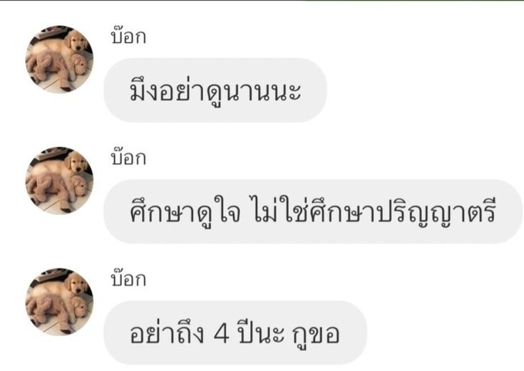 𝒎𝒊𝒏𝒆𝒅𝒆𝒂𝒓༊*·˚ | rest (@ziaminedear) on Twitter photo 