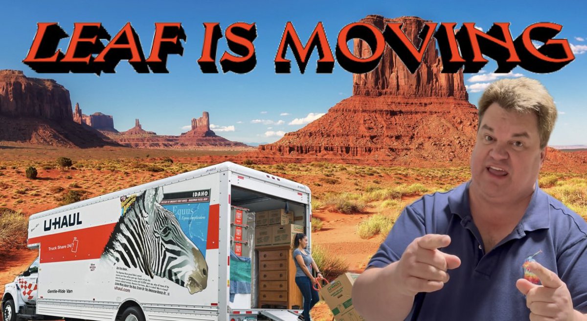 Leaf Trading Cards on Twitter "Leaf is moving…😱 https//youtu.be