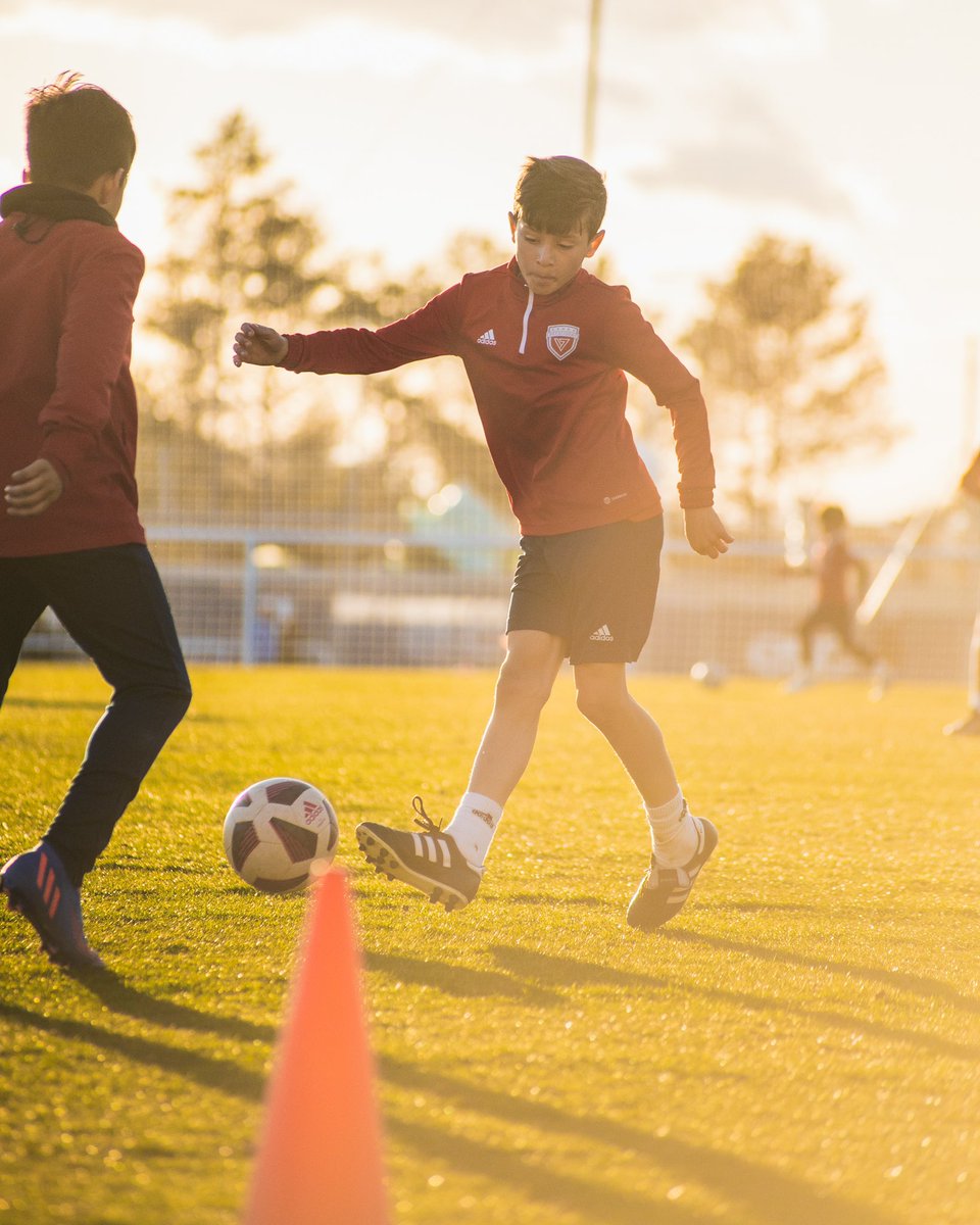 DV7AcademyMad's tweet photo. 🙌🏼⚽️ ¡Vamos a por una nueva semana, nada nos parará!

¡DV7 MADRID!

#BeTheNextDavidVilla @Guaje7Villa https://t.co/fxyhDc35aE