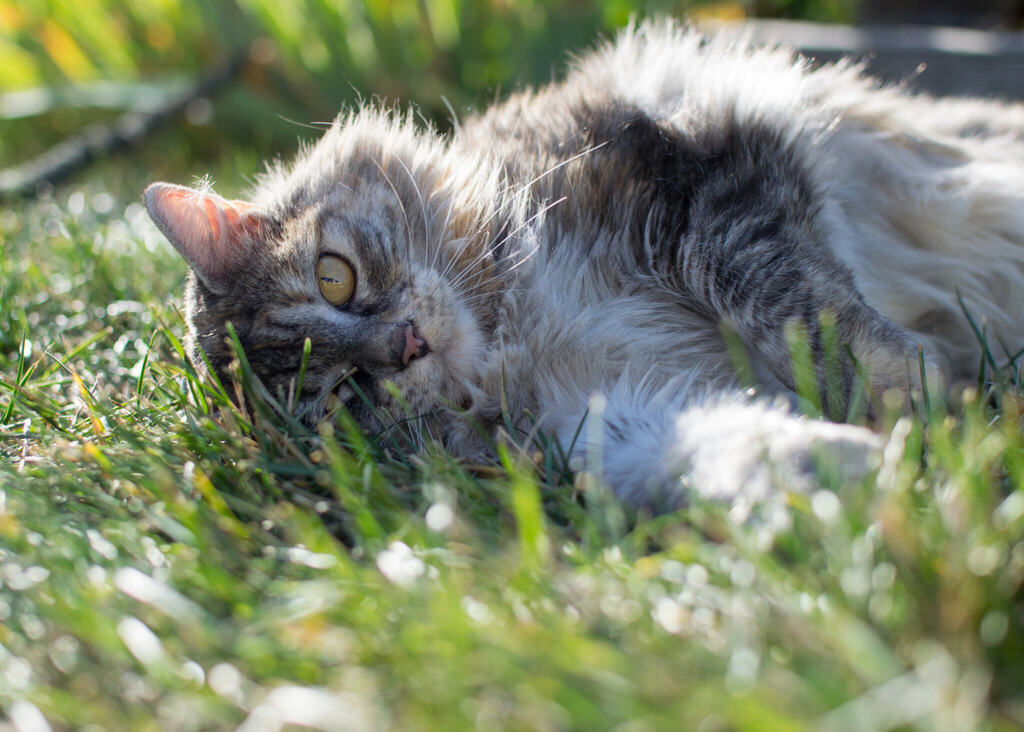 iNTeRNeT 2.0 tweet media