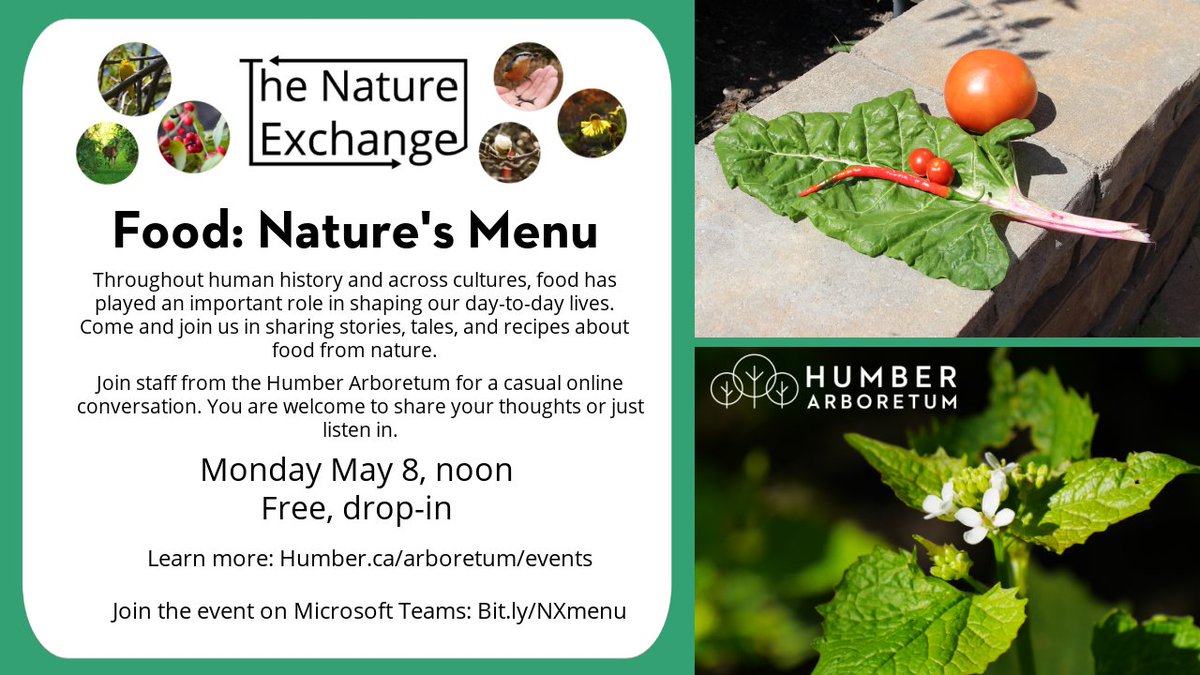 Coming up at noon! Join our staff online for a Nature Exchange all about food. The Nature Exchange is a free, recurring event where you are welcome to join the conversation or just listen in: humber.ca/arboretum/lear… #HumberCollege #Nature #Food #Cooking