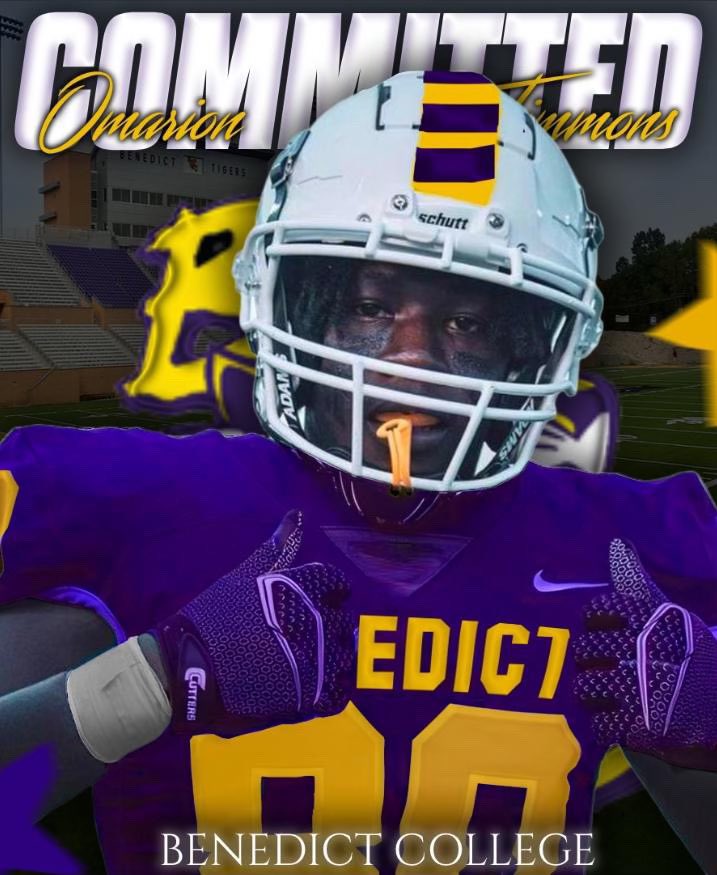 🔒 💜💛 #GoTigersGo