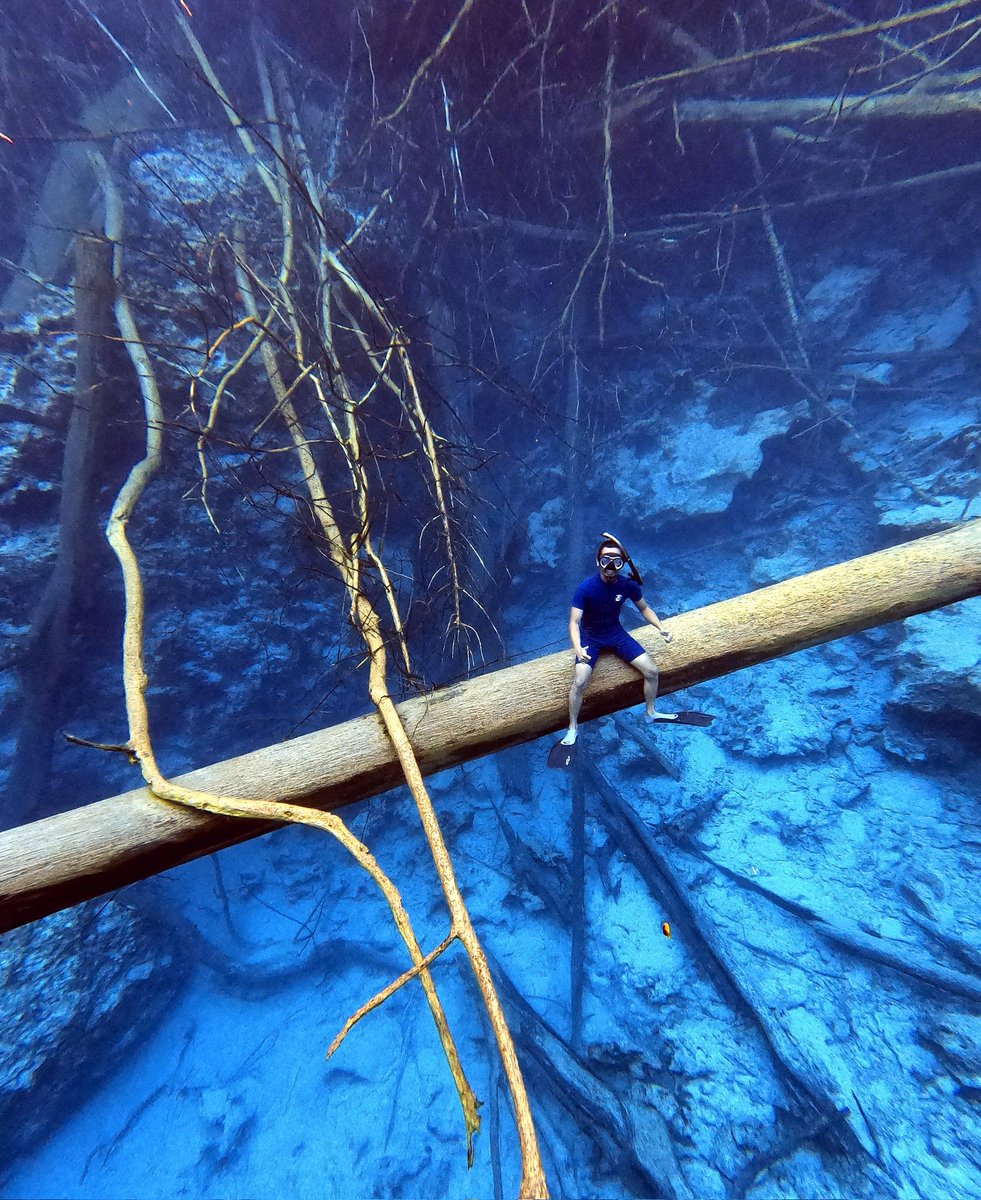 Lake of mirror in banggai island 
.
.
#lake #destination #danaupaisupok #indonesia #underwater