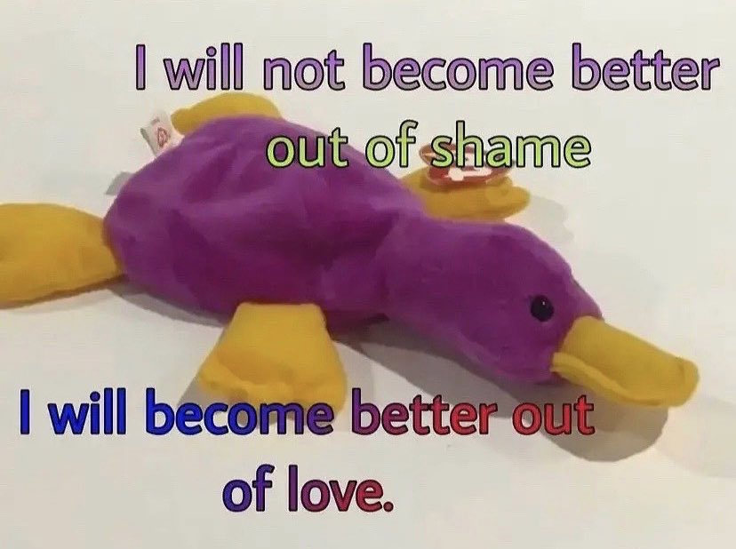 ✧ (@northstardoll) on Twitter photo 