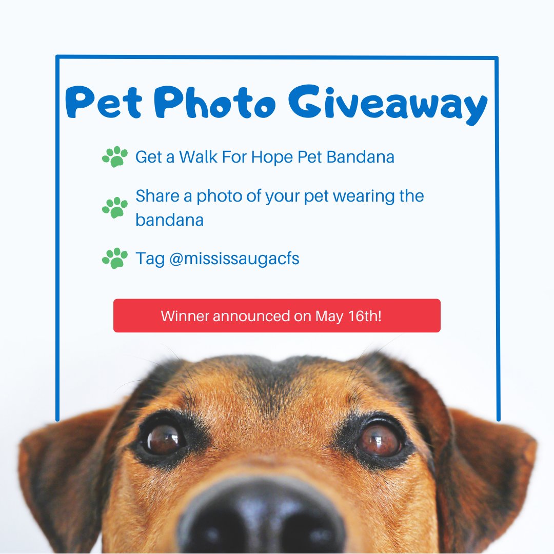 sallyarmytemple's tweet photo. If you have a pet and a walk for hope bandana, this giveaway is for you! Send us or post a photo of your pet wearing the bandana by May 16th to be entered into this giveaway.

#WalkForHope2023 #walkforhope #givinghope #mississaugacfs #petphoto #giveaway https://t.co/pPFvoBtDGf