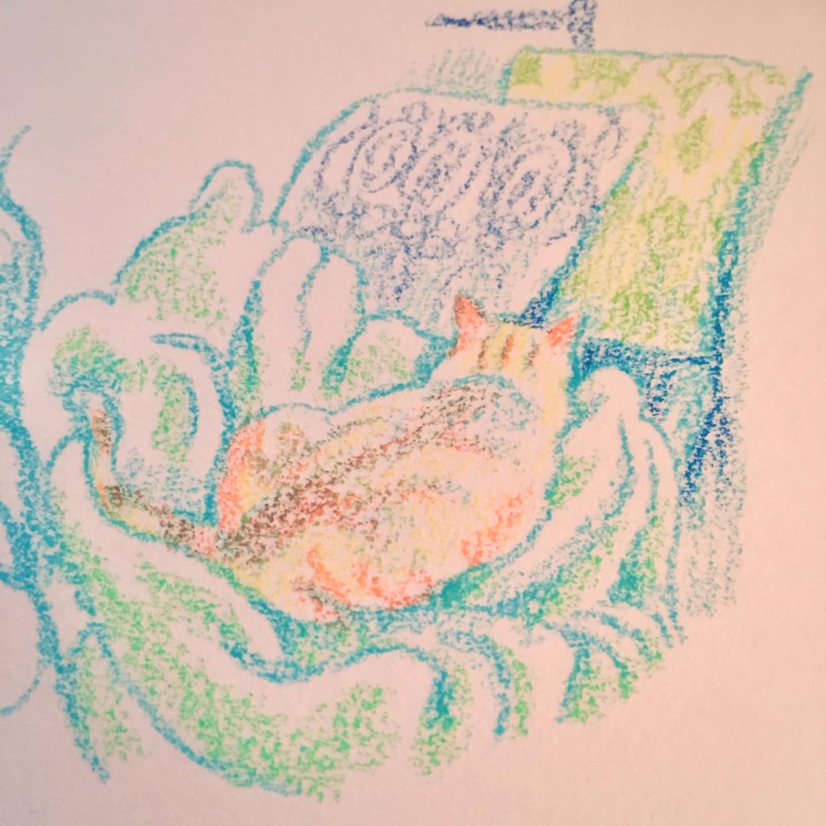 tallsoren's tweet photo. Catsitting :) https://t.co/MawxF8krE5