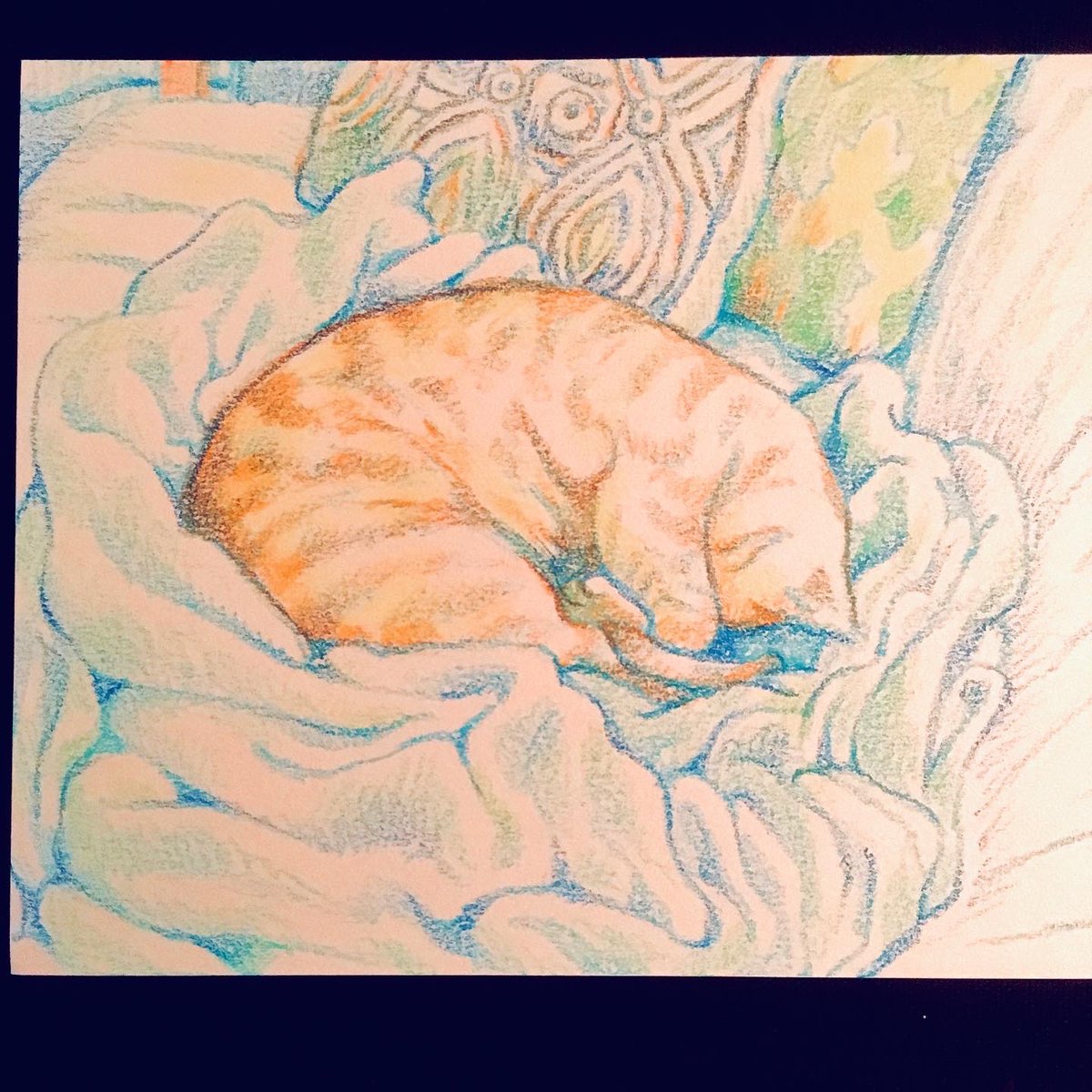 tallsoren's tweet photo. Catsitting :) https://t.co/MawxF8krE5