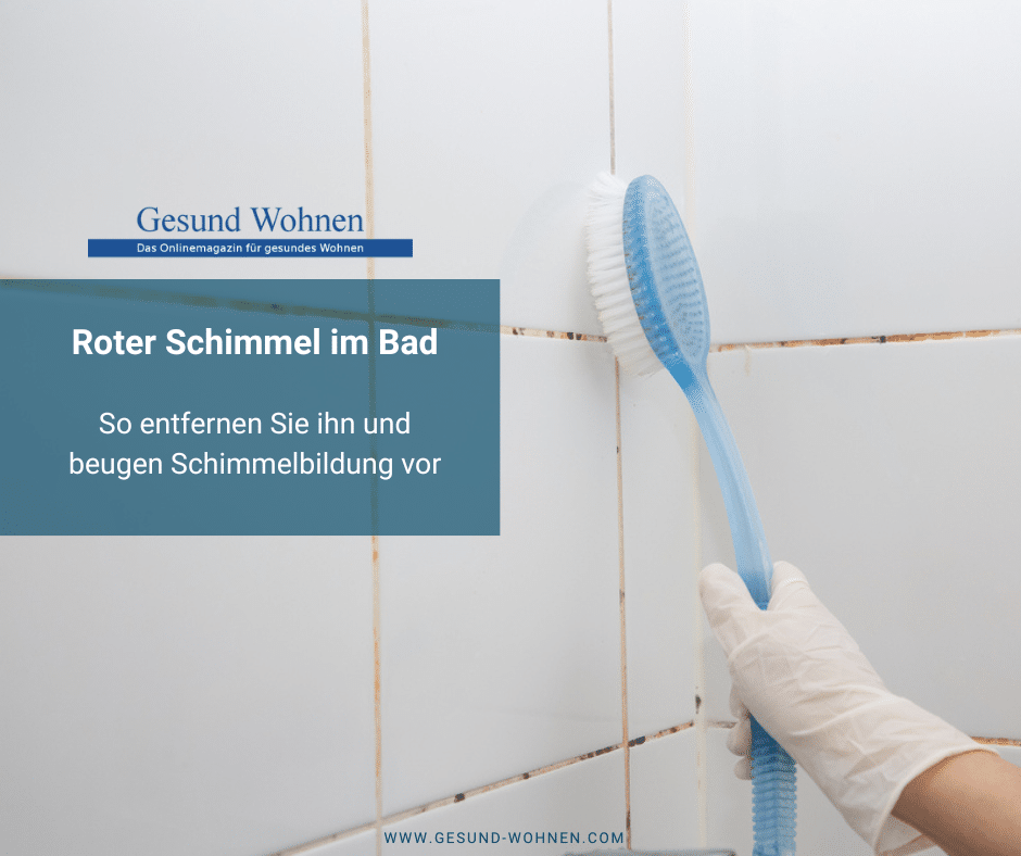 gesundwohnencom's tweet photo. Roter Schimmel liebt feuchte Umgebungen, daher tritt er besonders häufig in WC, Küche und Bad auf, da sich hier die besten Voraussetzungen finden lassen. In diesem Beitrag gehen wir auf den roten Schimmel ein und erklären Ihnen, wie Sie ihn entfernen https://t.co/z7spwiF4H5 https://t.co/8kLiYniuba