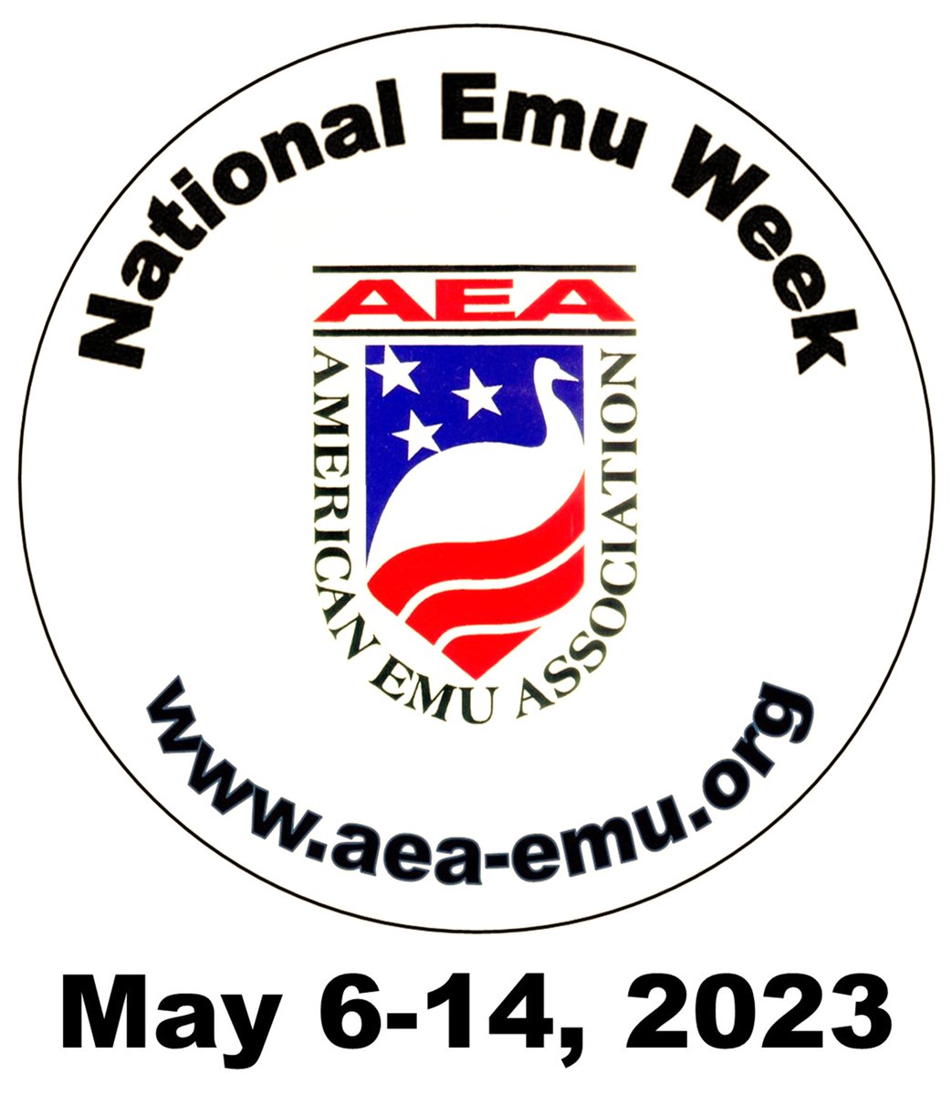 TheCassowaryKid's tweet photo. Happy #NationalEmuWeek 2023! #Emus are the national bird of #Australia, but we are proud of, and love our emus right here in #UnitedStates where they play important roles as educational ambassadors, livestock animals, and social companions. More info at: https://t.co/7jbJB8YFcX https://t.co/I2yRe5j93I