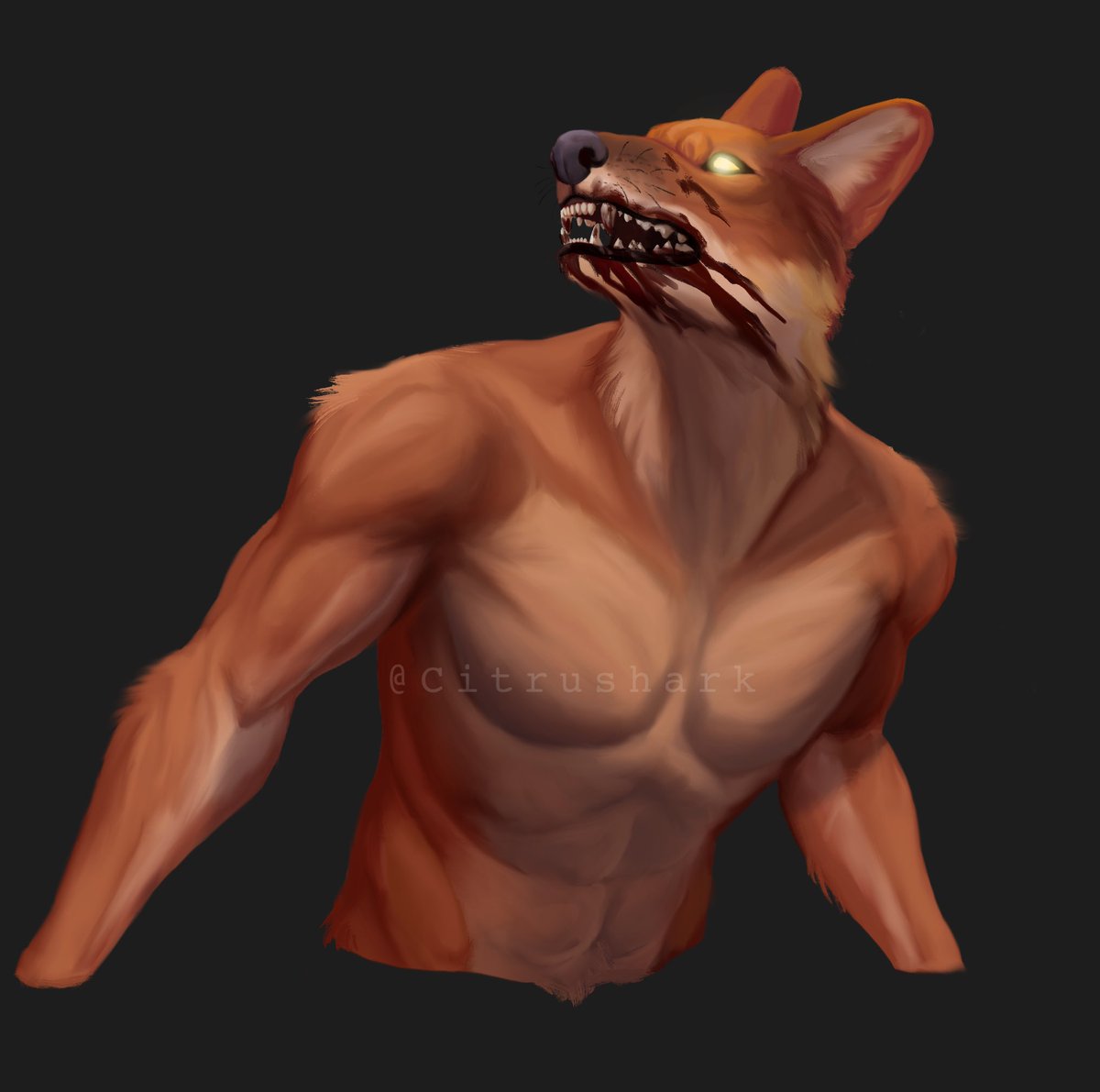 The anjing ajak, a rather obscure werewolf-like creature from Indonesia (afaik werecats/weretigers tend to be more known). Modeled on dholes.