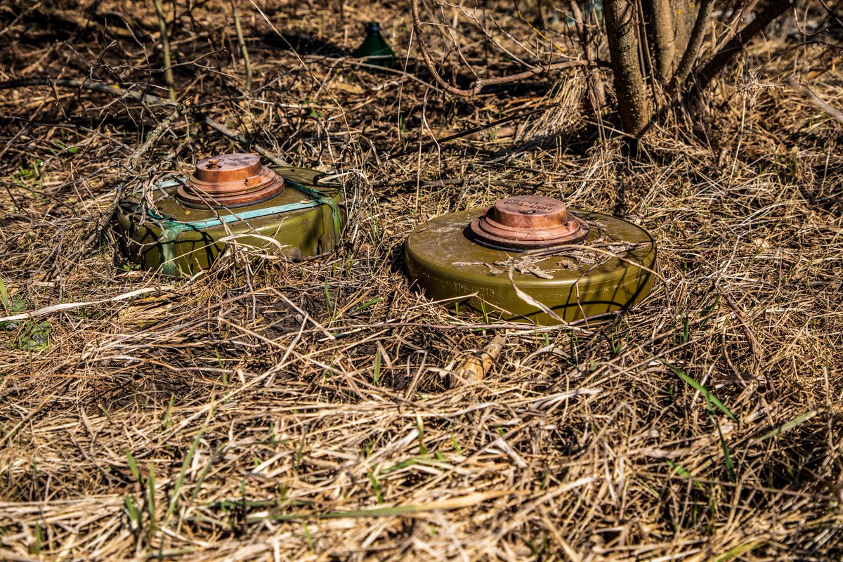 The HALO Trust tweet media