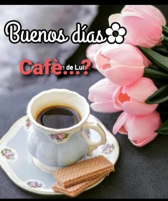 @mervinwill @Richard00491522 @AuristelaCom @betsards @CoromotoMyriam @auramarquezr @GLEIDYSF @R77684031Emilio @daisybtncrt @mlmairro @hugoesc31475407 @indignadoven @yamilaudio @marialombardim @Bribis17 @midimoreno @auracele @AngelCodecido @kike20081952 @alex18amt @Mailet05 @KeilaMontero @Nagifer @imachill55 @Cometa1968 @yvidalaqui @chandlermercede @Rachelhg @ELKAIMAN5 @IsabelBeliscris @ARescatemos @UCYR @CreativityQue @Adriniux @mariaefarias @fannyalayon Feliz día Mervin...un cafecito compartido, nos despierta los sentidos y nos alegra el corazón..lo comparto contigo y te envío mi bendición desde la distancia 🙏🥰☕