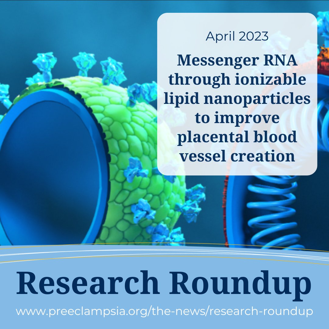 Could scientists one day prevent #preeclampsia by changing how the placenta forms? Scientists in this #ResearchRoundup used mice to see. (Yes, it's a long way from human testing, but it's so great to hope!) Read more: preeclampsia.org/the-news/resea…
 #PreeclampsiaAwarenessMonth