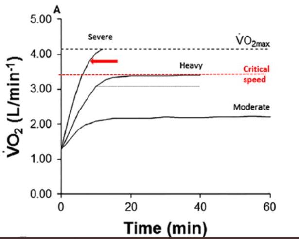 Gareth_Sandford's tweet photo. Recommended heart rate(HR) range for critical speed is 83-87% of HR max. 

But, it's important not to panic if an athlete cannot achieve this range in training as long as:

• Perception is rated 5-6/10 and 

• Breathing is stable (red dotted line)

Because... https://t.co/yG0JbDVVC9