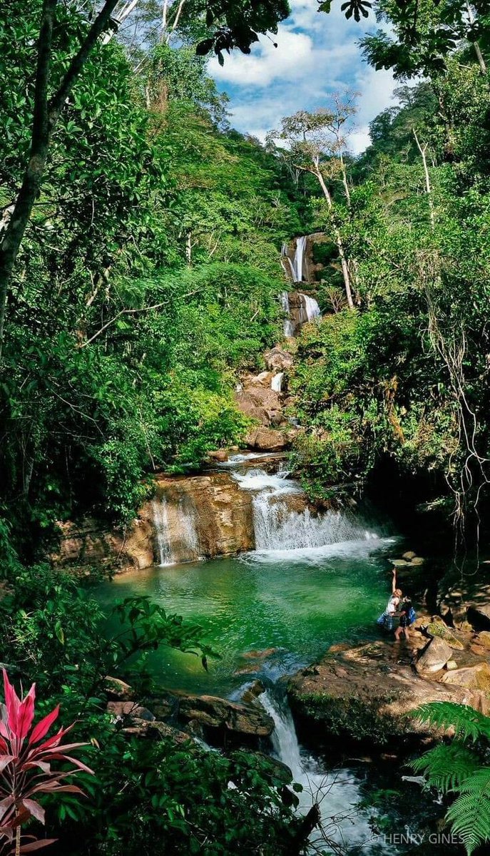 NATURALEZAV3's tweet photo. El Perú  y sus maravillas. Hermosa su Selva, muy hermoso paisaje. https://t.co/R4Bp8ZHQ55