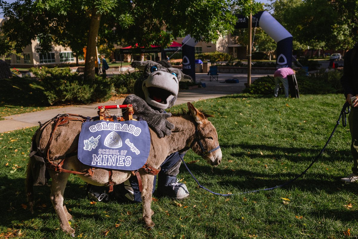 Happy National Burro Day! Here's to the best mascot around, @blastertheburro!