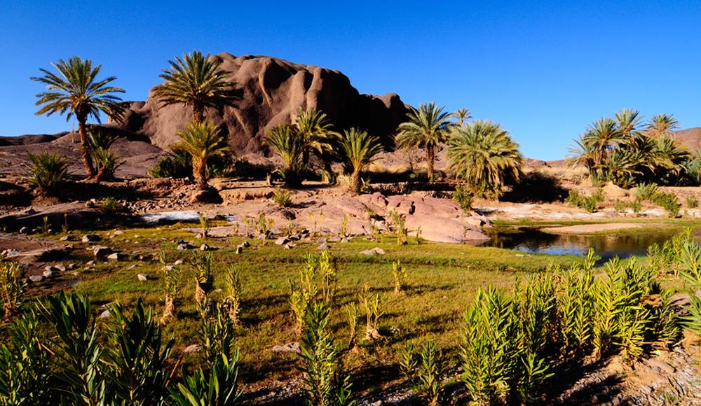 ViewsArabic's tweet photo. Maroc 🇲🇦🇲🇦🇲🇦
Fint https://t.co/wfcegFVzdW