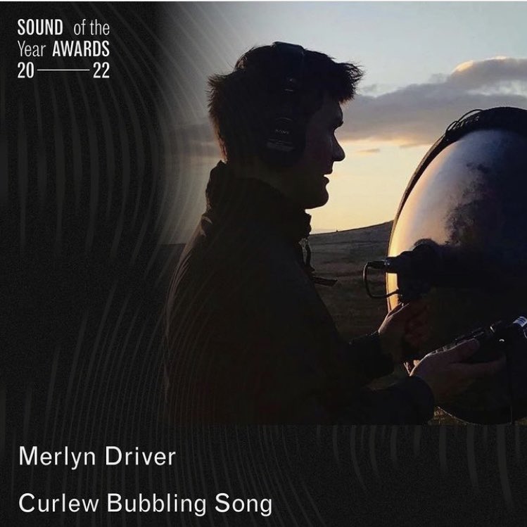 merlyndriver's tweet photo. I created @curlewsounds because I wanted to contribute to wider efforts to stop the magical sound of the curlew from disappearing from the UK. 

I’m so pleased that one of the soundscapes has been nominated for the 2022 @sound_awards in the ‘Disappearing Sounds’ category. https://t.co/9xKsouuUpb