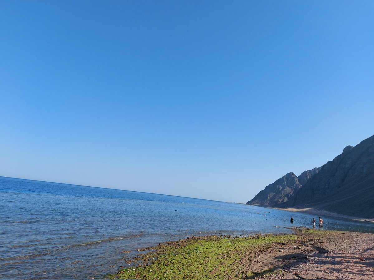 AKRAM_59's tweet photo. مساء الفل من دهب ⚘️⚘️
#Dahab
#Three_pools https://t.co/ApVGI9Yiin