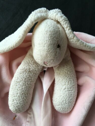 HowardWolfesch's tweet photo. Hello @HowardWolke ! I found your 9/yo daughters bunny stuff animal! Should I send it to 1 Pinewood Ave? https://t.co/C0lRJw4PQI