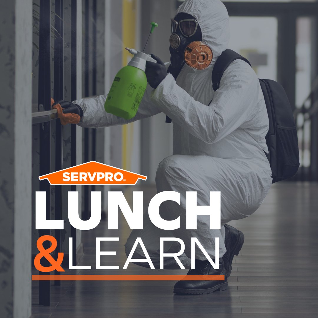 Lunch and Learn with the pros! 🍔 Insurance agents in Utah County, join us for a CE credit opportunity and dive into the world of mold in the restoration industry 🛡️ We'll bring lunch for you and provide a 45-60 minute presentation 💡 Reach out to reserve your spot 📅