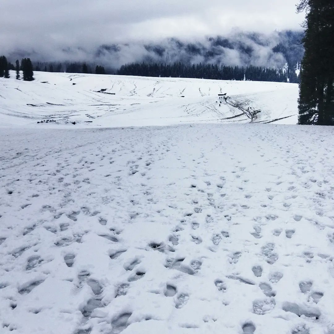 MurtazzaNazir's tweet photo. Chiranbal,Kulgam!
08/05/23 https://t.co/CMOMii9w8c