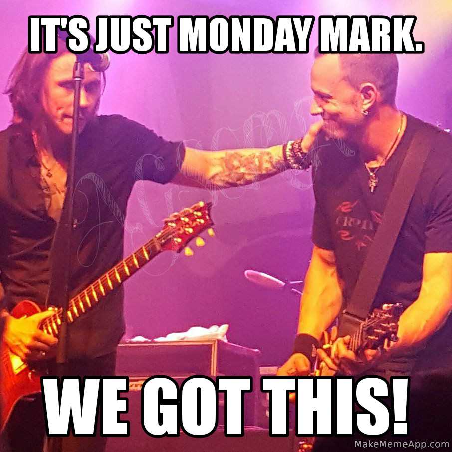 Aileen Lyons🐈🐯🐲🌺🎭💖🐾🎯🎶 tweet media