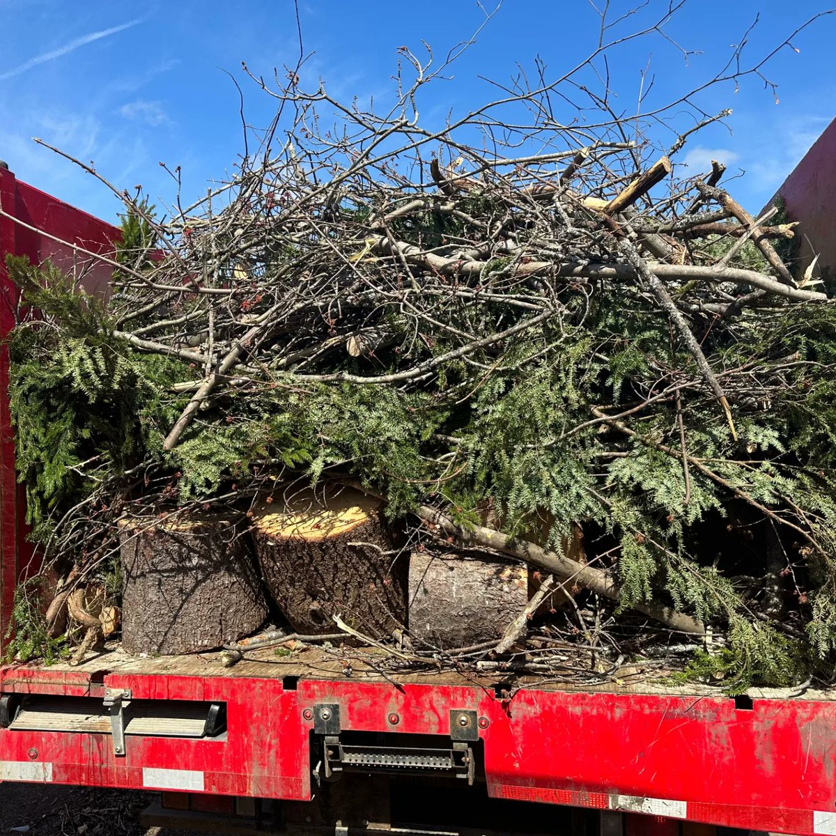 HalifaxJunk's tweet photo. Don't want to spend your free time on weekends cleaning up your property ?
We work weekends & we can haul all the fallen branches, logs, debris out of your yard !
You can sit back and relax ! :)
#novascotiajunk #junkremovalnearme #halifaxns #novascotia #werecycle https://t.co/nkooOPvrzs