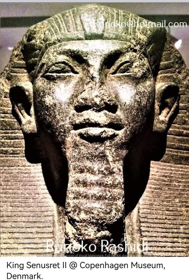 centralstationclothing tweet media