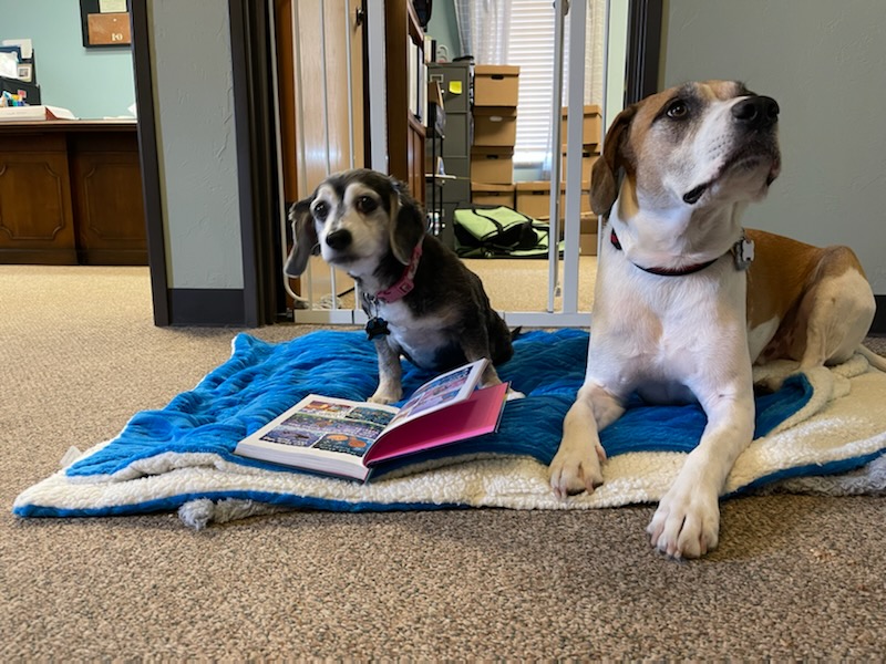 PayneEduCtr's tweet photo. Payne Education Center trains teachers to prevent reading difficulties in children and to remediate dyslexia while serving as a resource and referral center. (Four legged creatures too!) https://t.co/x9EAiWLm8M