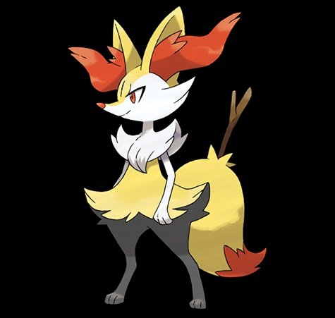 NateTheTrainer ⚡︎ tweet media