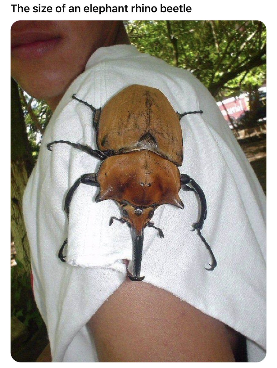 Scott Johnson tweet media