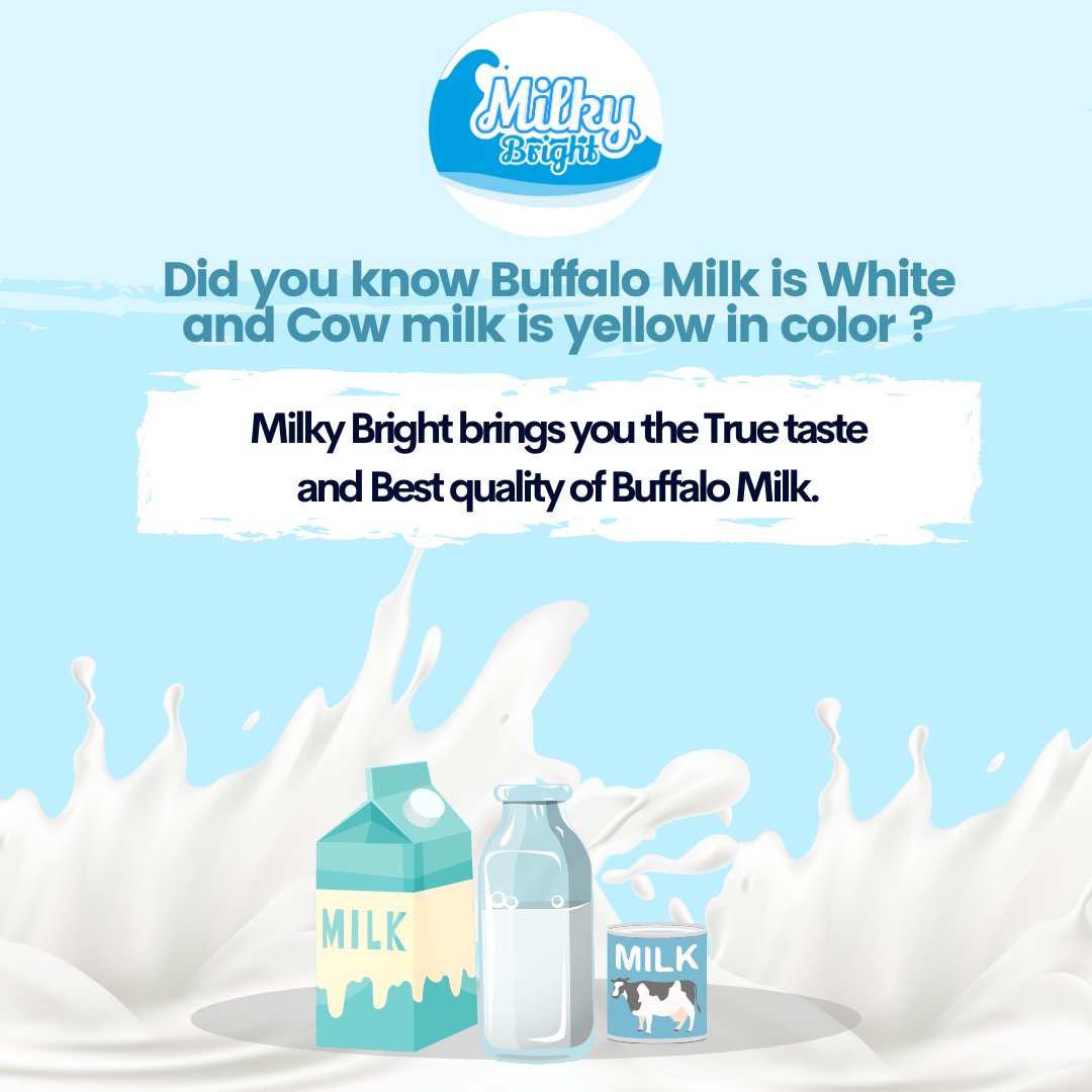 Did you know Buffalo Milk is White and Cow milk is yellow in color ?
Milky Bright brings you the True taste and Best quality of Buffalo Milk.
#dairy #milk #dairyfarm #cows #farm #cowmilk #dairycows #vegan #food #agriculture #dairyfarming #healthymilk #dairyproducts #dairymilk