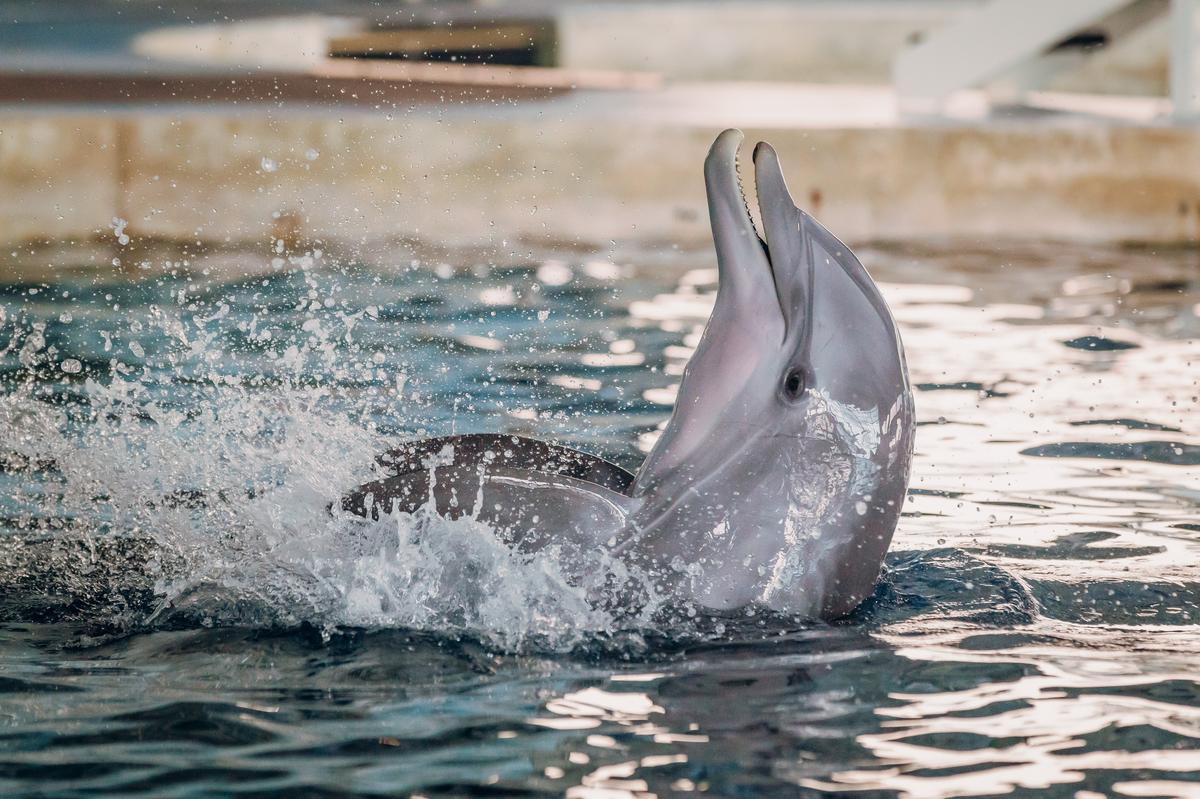 CMAquarium's tweet photo. We ✨Hope✨ you stay afloat this Monday! https://t.co/BhjKKyp3ay