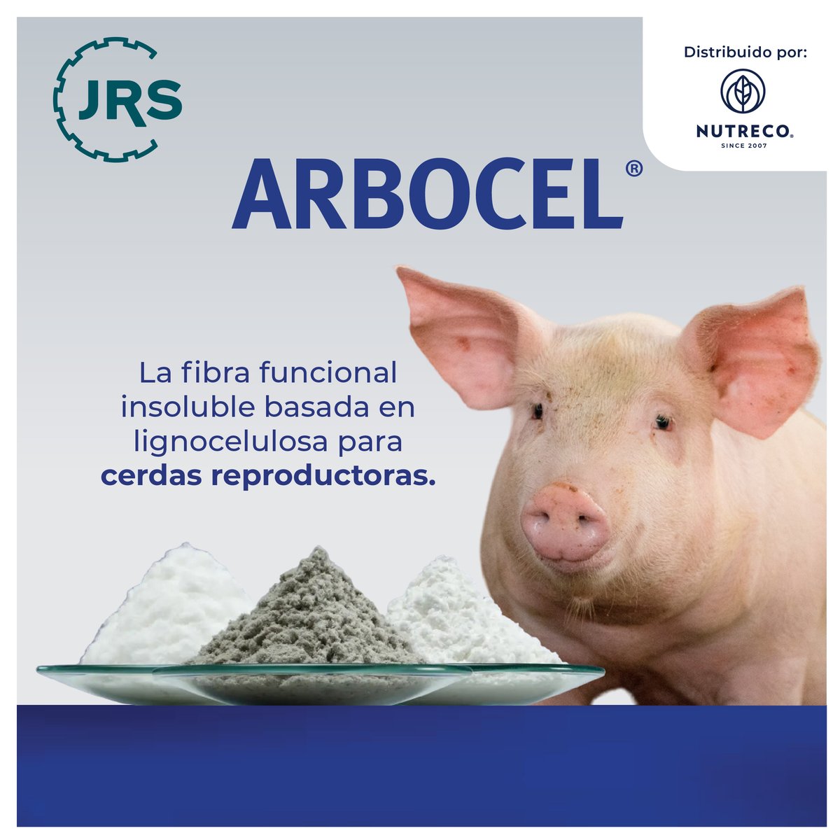 NutrecoSAS's tweet photo. ARBOCEL® es un concentrado de fibra funcional insoluble, basada en lignocelulosa con un contenido de FB superior al 65% más que en cualquier otra fuente de fibra convencional.
Para más información 👉🏼
Info@nutreco-colombia.com

#NutrecoColombia #NutriciónAnimal #ProducciónAnimal https://t.co/KsGXtKFR96