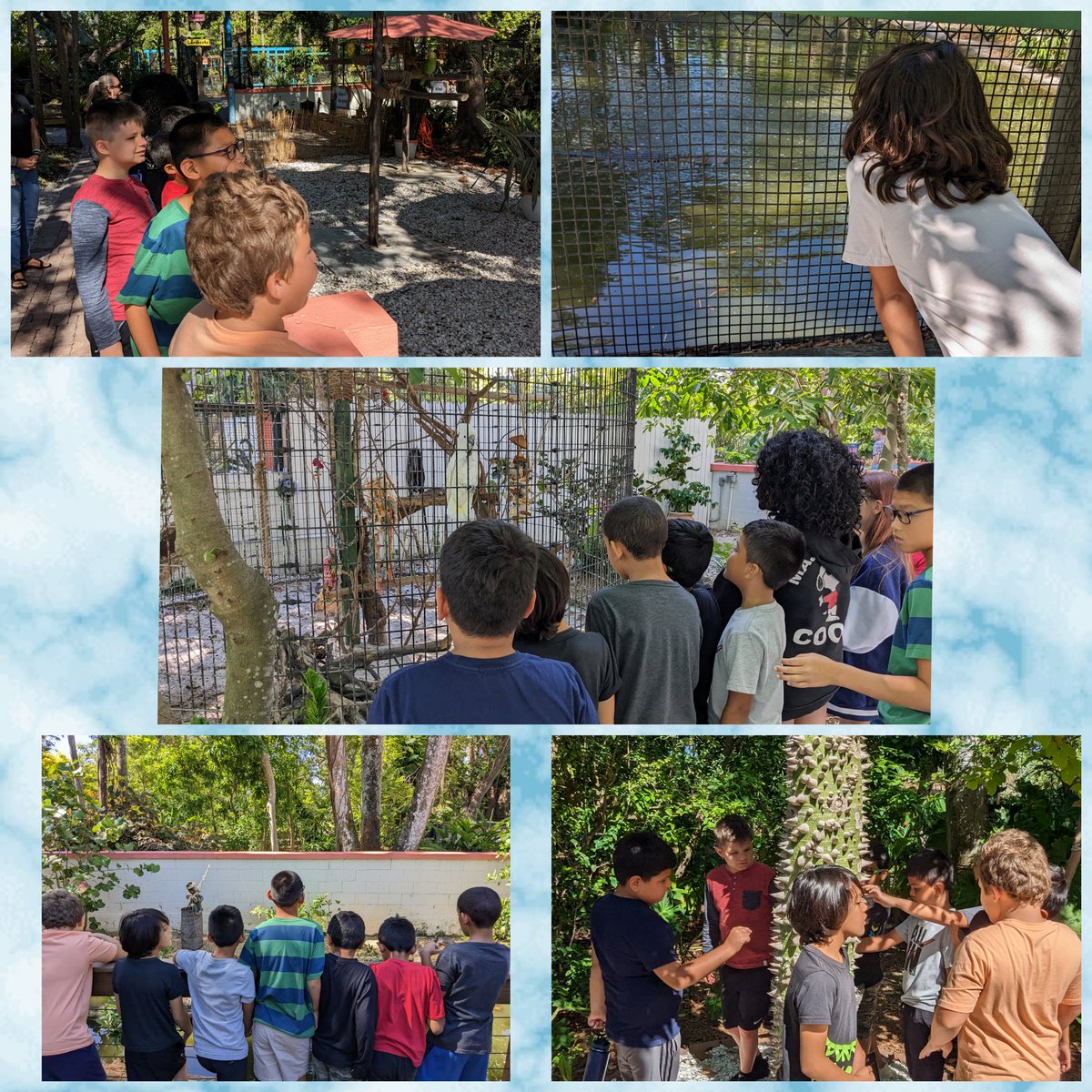 SeaGateMC's tweet image. Investigation was letter I of our alphabet countdown! We investigated different animals and plants at the Everglades Wonder Gardens! 🌵🌼🌳🐢🐊🦜🦚🦆🪿 #CommunityBasedLearning #AuthenticLearning @SeaGateES