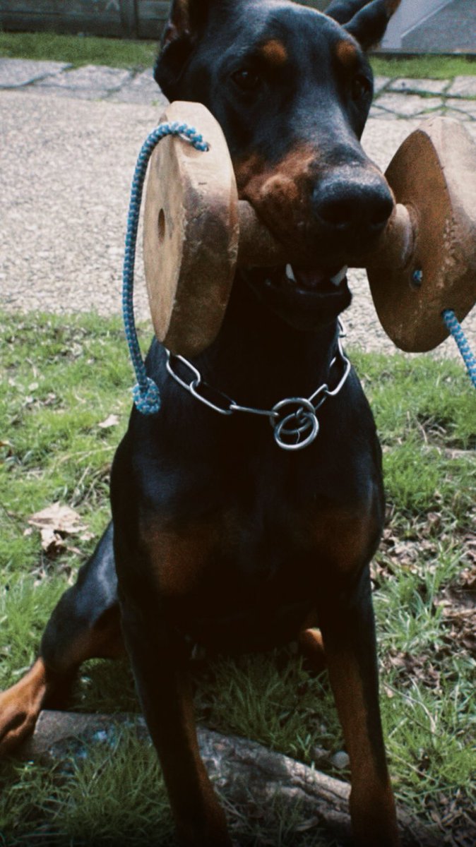 11YWay's tweet image. ชีวิตนี้ผมทิ้งได้ทุกอย่างคับยกเว้นลูกชาย