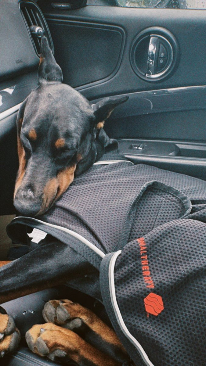 11YWay's tweet image. ชีวิตนี้ผมทิ้งได้ทุกอย่างคับยกเว้นลูกชาย