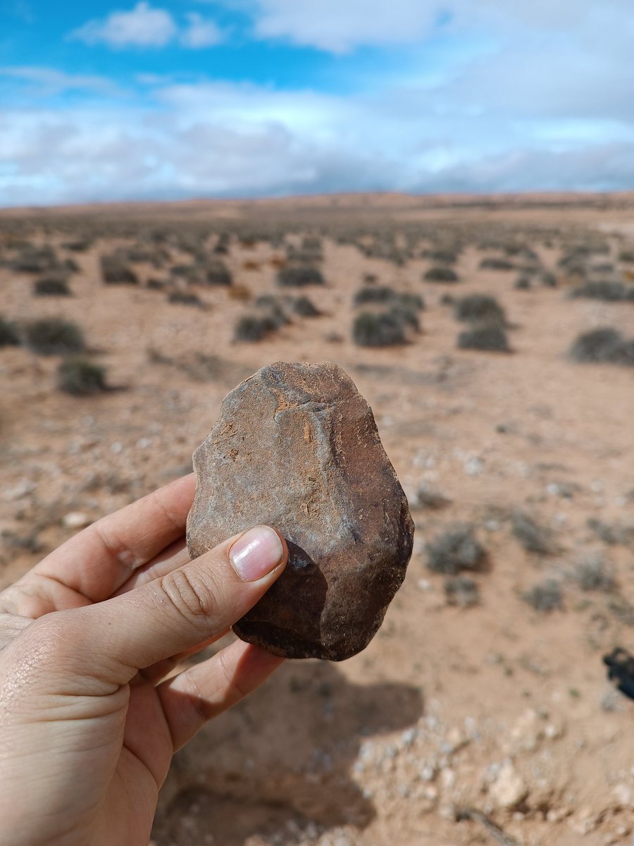 Some nice lithic from our last survey in Northern eastern Morocco !