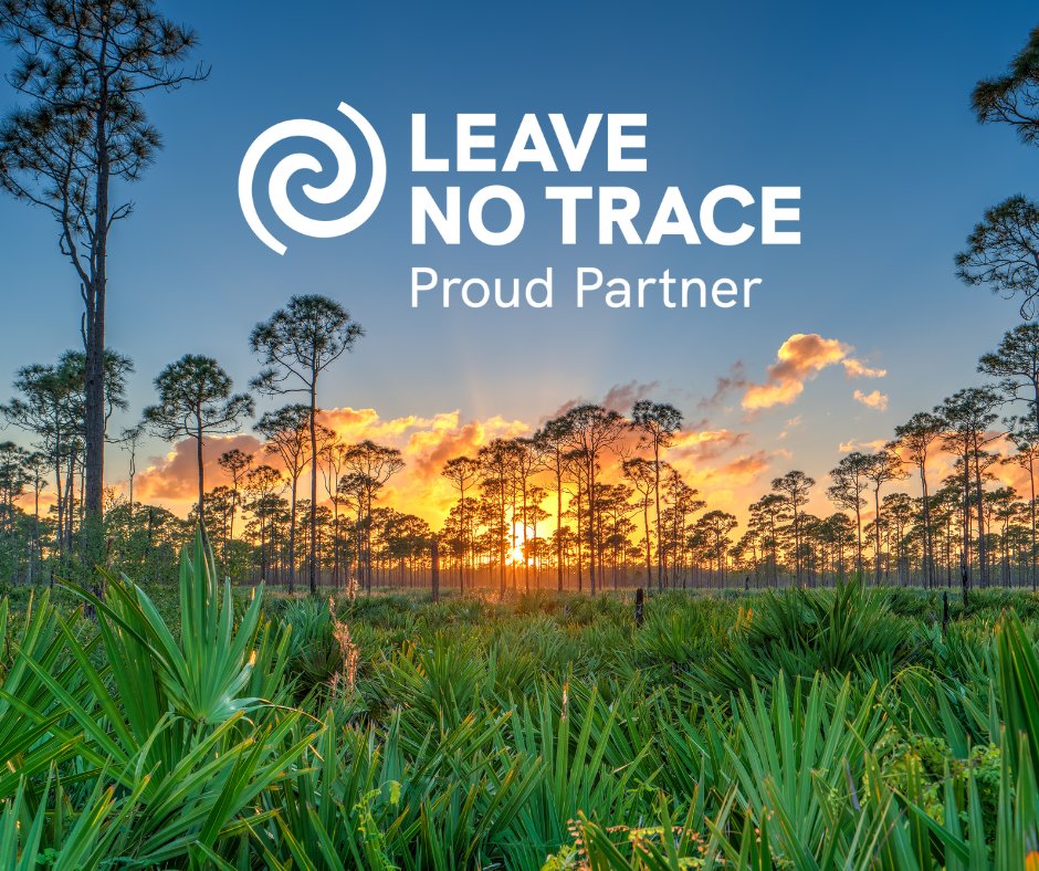 DiscoverMartin tweet media