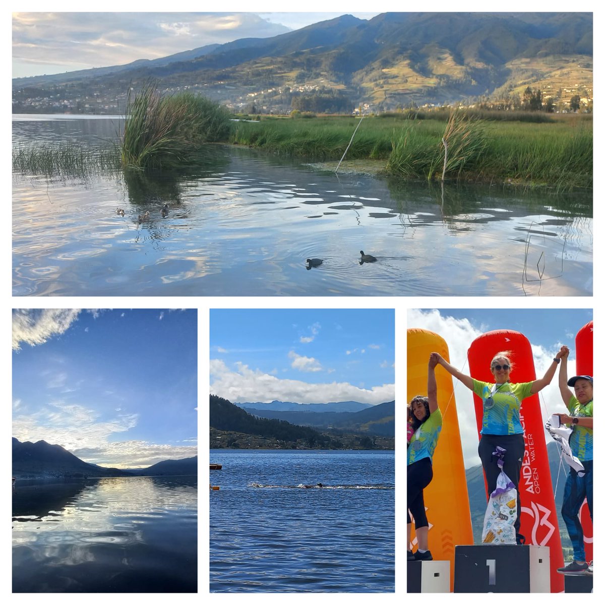 Silvia Benitez P. (@sbenitezponce) on Twitter photo Lago San Pablo, una maravilla, que necesita atención urgente, por problemas de contaminación y de basura. Ayer participé en una competencia de natación <a href="/andespacifico1/">andespacifico</a> , el lago estaba hermoso. Una tristeza ver la suciedad en sus orillas. Queremos un lago limpio. Abro hilo. Lago San Pablo, una maravilla, que necesita atención urgente, por problemas de contaminación y de basura. Ayer participé en una competencia de natación <a href="/andespacifico1/">andespacifico</a> , el lago estaba hermoso. Una tristeza ver la suciedad en sus orillas. Queremos un lago limpio. Abro hilo.