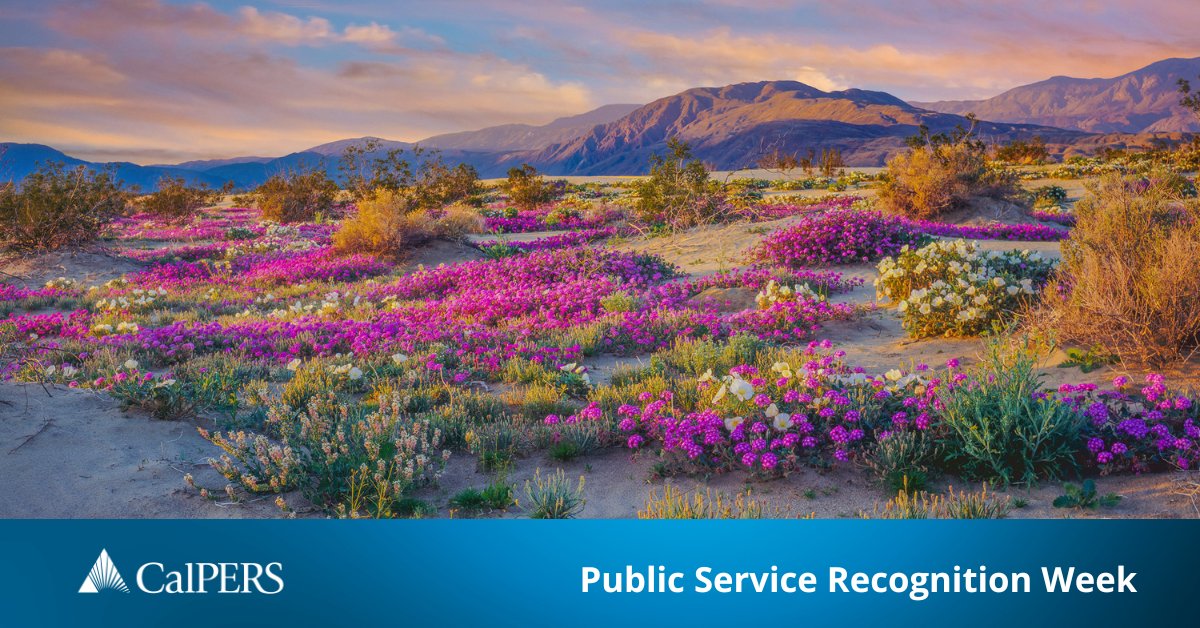 Public Service Recognition Week honors the men & women who serve our nation as federal, state, county & local government employees. Join us this week as we celebrate all who have dedicated their careers to public service. #PSRW #PSRWCA #WeServeCA #CaliforniaForAll