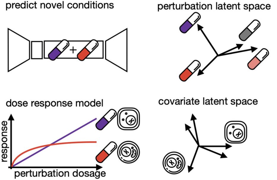 Fabian Theis (@fabian_theis) on Twitter photo So excited to see our compositional perturbation autoencoder (CPA) paper out <a href="/MolSystBiol/">Mol Syst Biol</a>! This generative DL model leverages single cell perturbation (drug, CRISPR etc) studies to predict cellular response. Great collab w <a href="/MetaAI/">AI at Meta</a>! github.com/theislab/cpa
embopress.org/doi/full/10.15… So excited to see our compositional perturbation autoencoder (CPA) paper out <a href="/MolSystBiol/">Mol Syst Biol</a>! This generative DL model leverages single cell perturbation (drug, CRISPR etc) studies to predict cellular response. Great collab w <a href="/MetaAI/">AI at Meta</a>! github.com/theislab/cpa
embopress.org/doi/full/10.15…