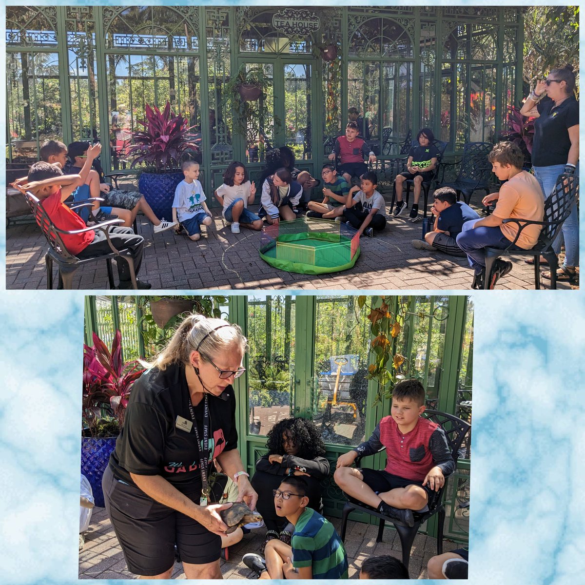 SeaGateMC's tweet image. Investigation was letter I of our alphabet countdown! We investigated different animals and plants at the Everglades Wonder Gardens! 🌵🌼🌳🐢🐊🦜🦚🦆🪿 #CommunityBasedLearning #AuthenticLearning @SeaGateES