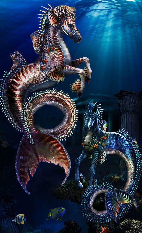 LE_Mythologie's tweet photo. Due to its form, scientists named a part of the brain "hippocampus", which is also the scientific name for the lovely seahorse. But long before that, the ancients imagined literal sea-horses being put in front of the cart of some sea deities. Those were also named hippocampi. https://t.co/t2w0rL6tVN
